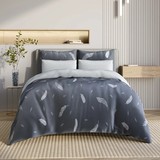 ЕВРО Невесомость